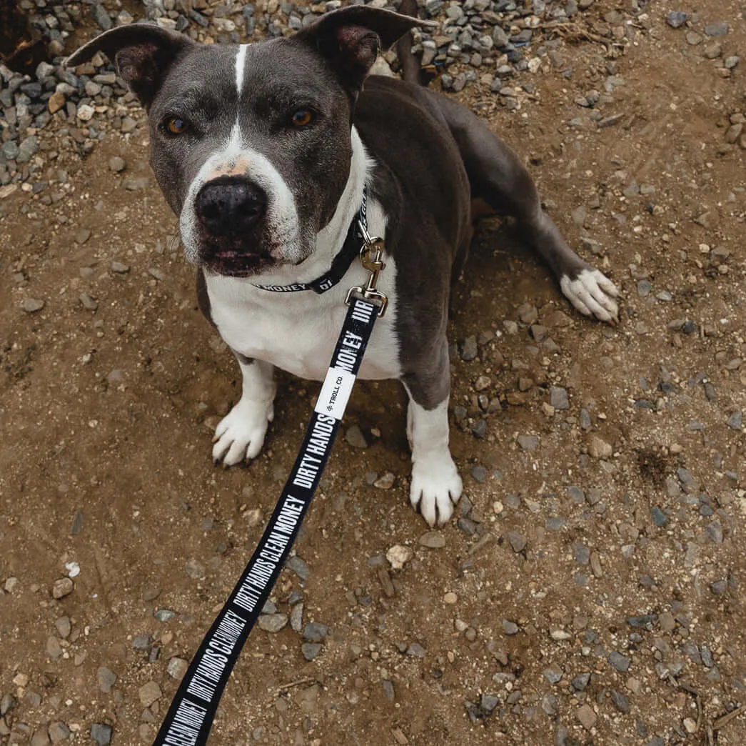 DHCM Heavy Duty Dog Leash