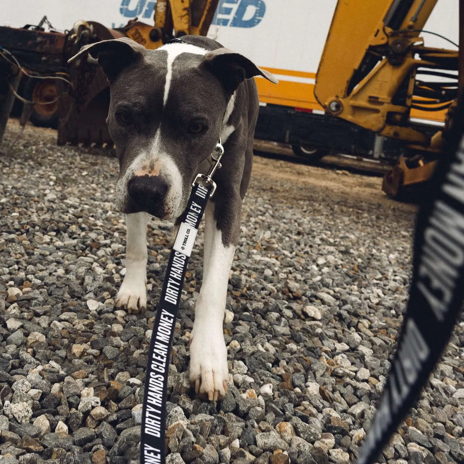 DHCM Heavy Duty Dog Leash